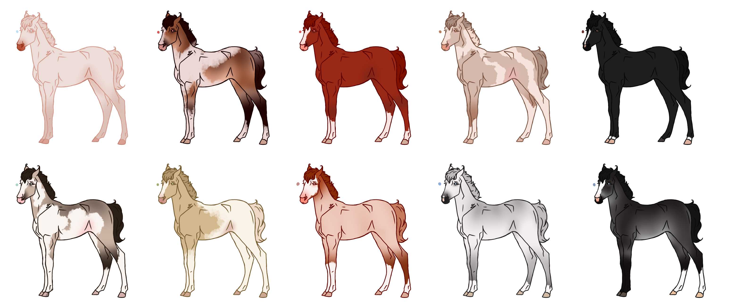 Mixed Foal Batch - All Sold