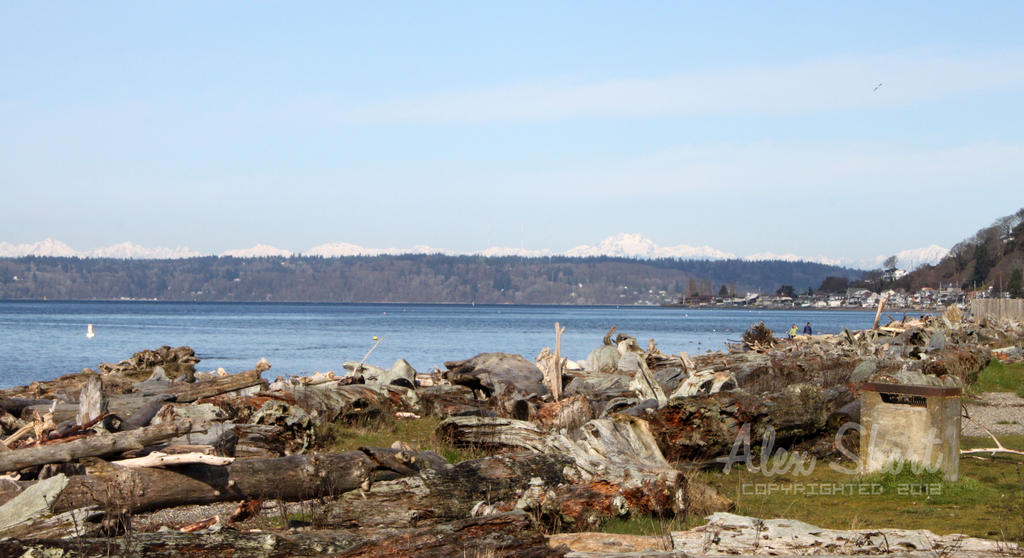 Puget Sound and the Olympics