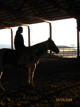 Shadow of horse and rider