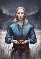 Finrod  The first winter of exile