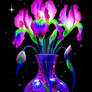 Irises and stars
