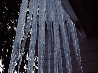 icicles1