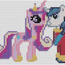 Princess Cadence and Shining Armor