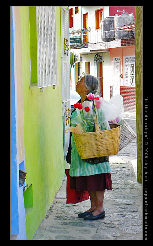 la flor de xalapa