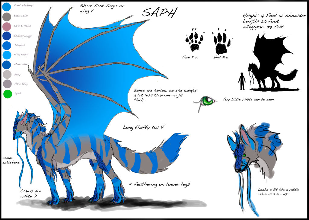 Saph's Ref by Saphscongallery on DeviantArt