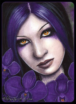 ACEO -- Orchid