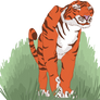 Tiger????