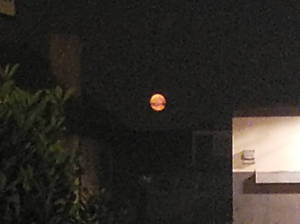 Nice view of the blood moon