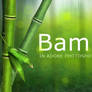 Bamboo