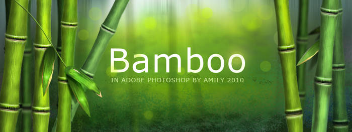 Bamboo