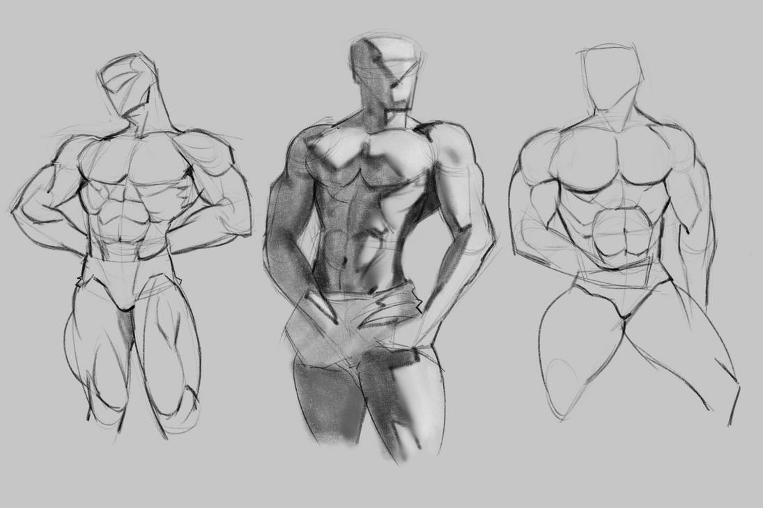 Dynamic Muscle Pencil Dynamic Muscles by Vloopy on DeviantArt