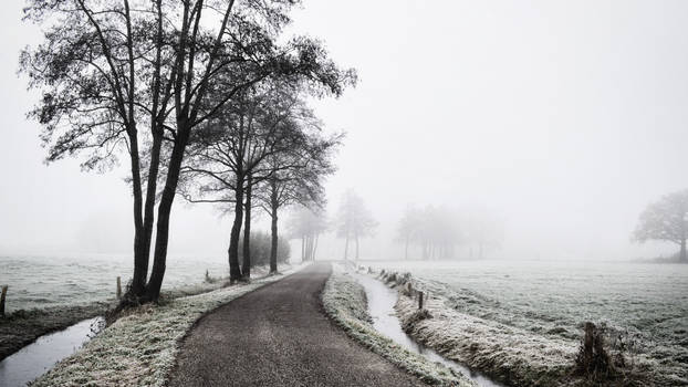 A cold and foggy morning