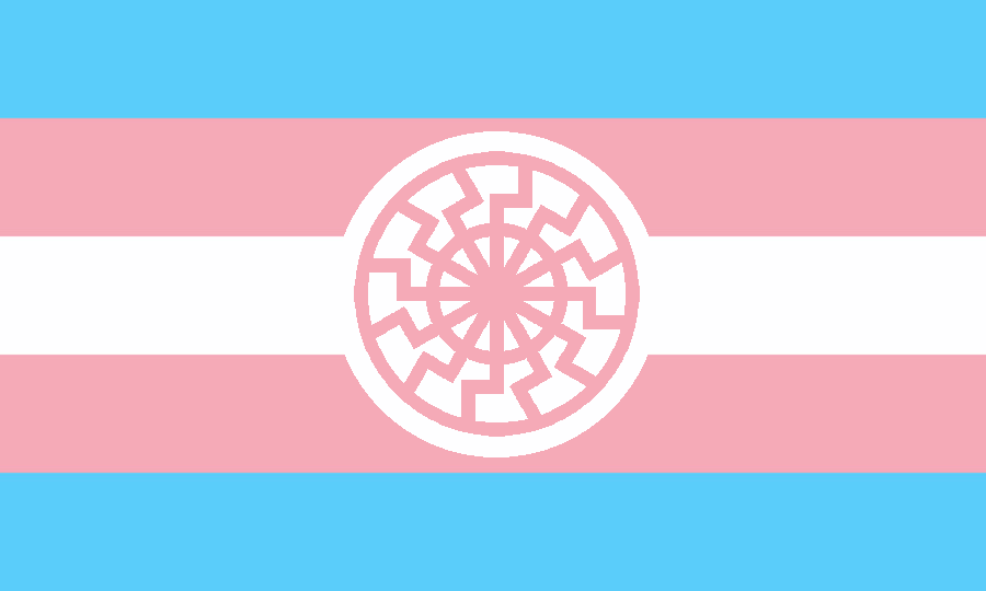 Trans fascist flag by DawidTereska on DeviantArt