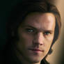 Sam Winchester - glare