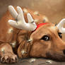 Xmas Tangled - Little Reindeer Dog