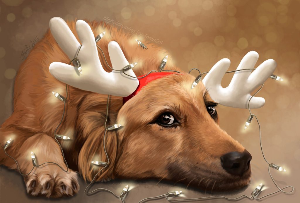 Xmas Tangled - Little Reindeer Dog