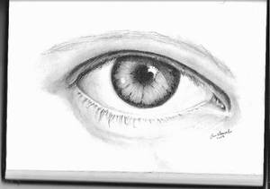 eye