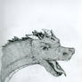 Dragon Head Sketch