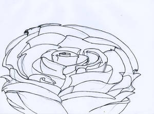 Rose CloseUp-WIP-sketch_ink