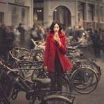 raspberry sorbet in Amsterdam by ankazhuravleva