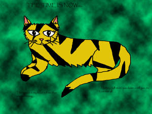 warriorcat1 new deviantart id