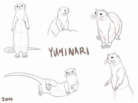 Otter doodles