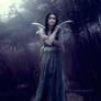 Disenchanted Fairy