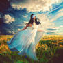 Blind to Beauty
