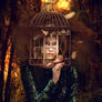 Caged Bird