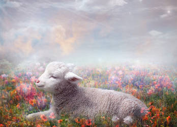 Lamb of God by Phatpuppyart-Studios