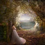 The Princess Aurora