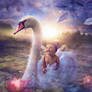 Baby's Swan Lake