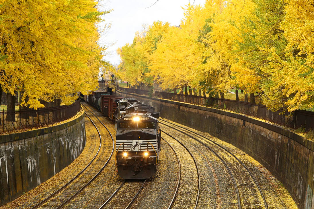 Yellow Brick Road by 3window34 Yellow Brick Road by 3window34