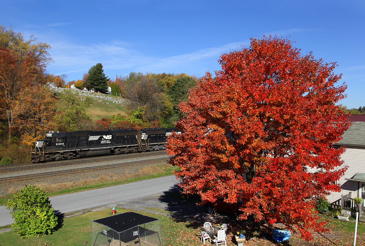 Fall Foliage