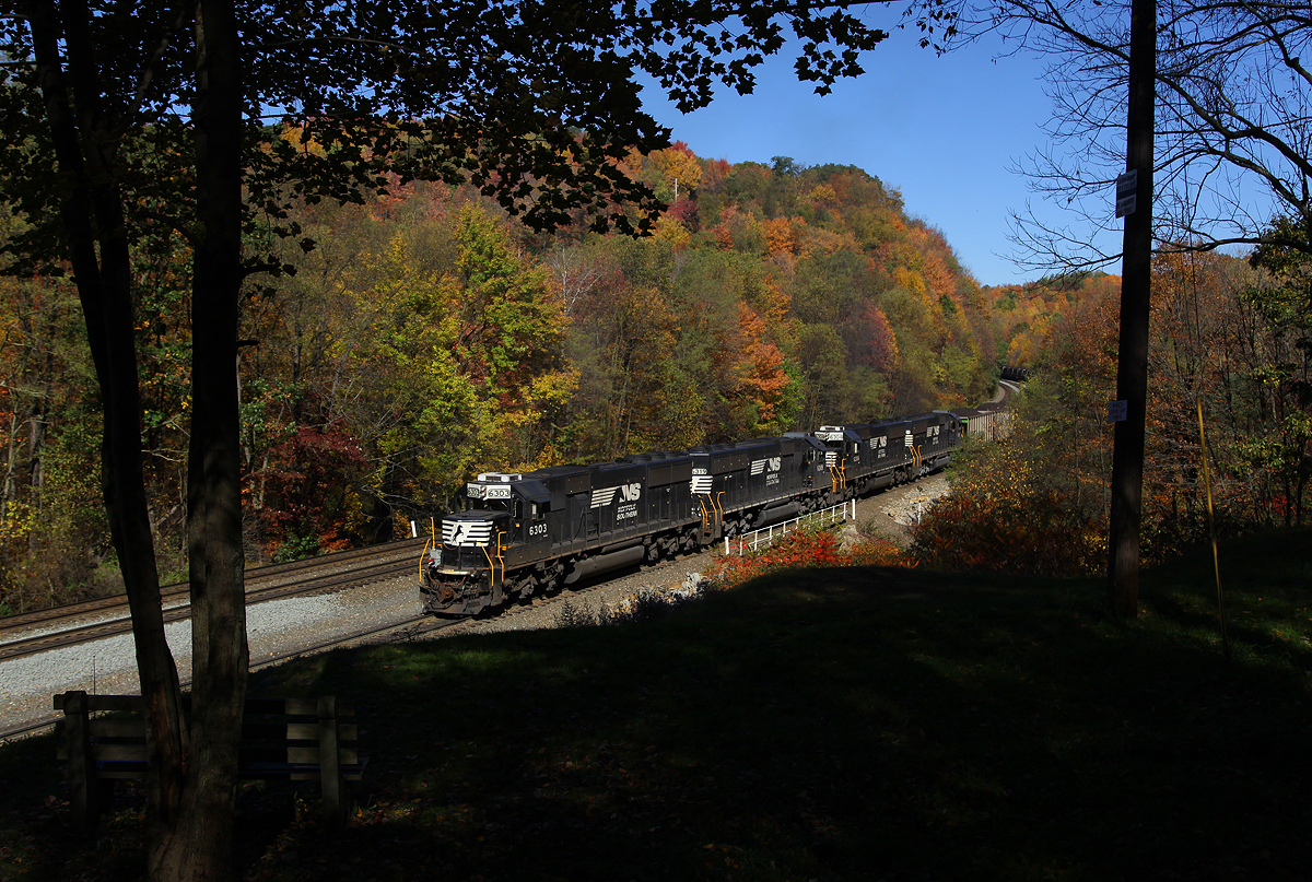 Fall Foliage