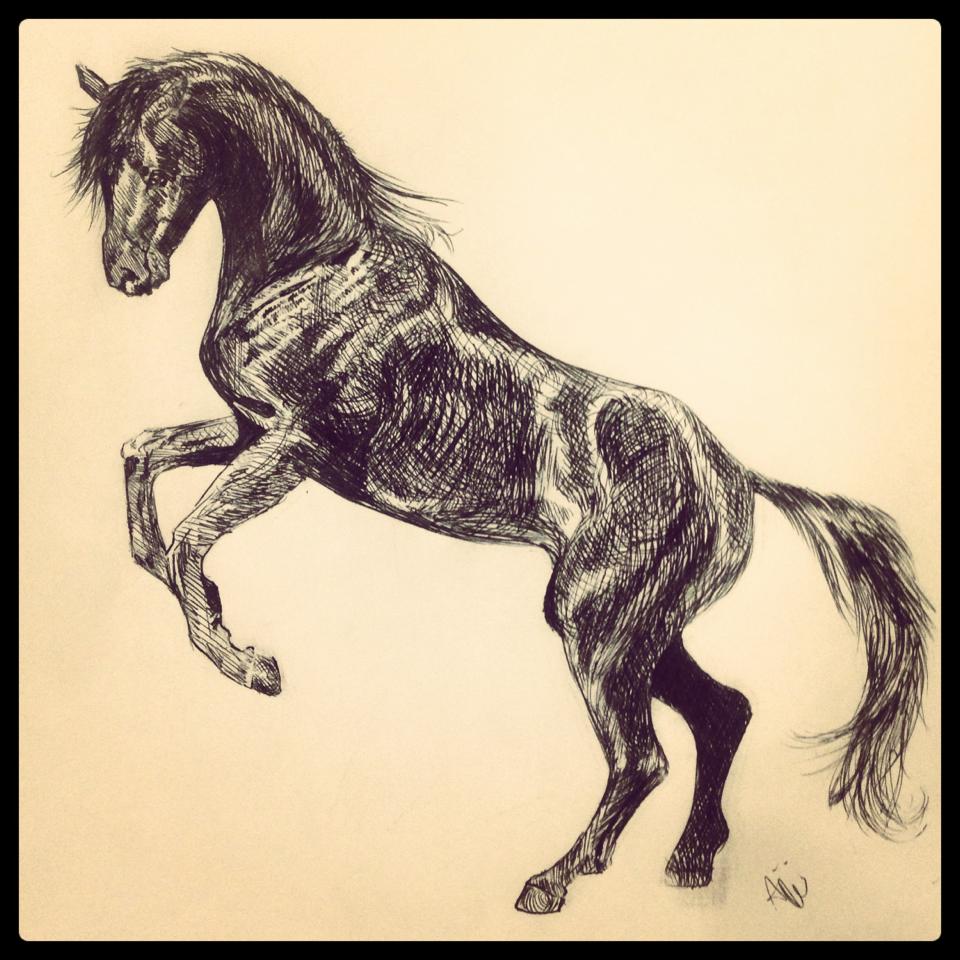 Horse Pen Sketch