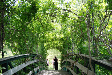 Inside the Ivy Bridge