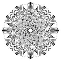 Hypnotic Web Spiral