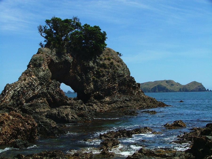 Bay of islands New Zealand