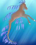 Leafy Sea Dragon Hippocampus Adopt | OPEN *REDUCED