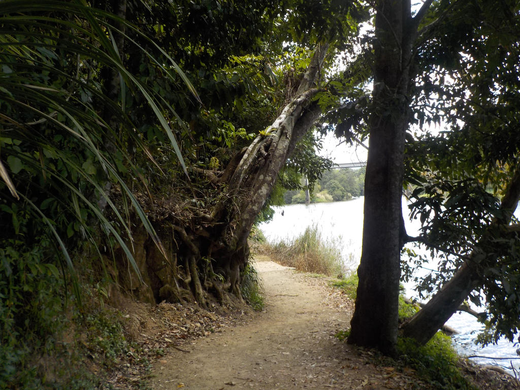 Model Trail Rivers River Trail by thoughtengine on DeviantArt