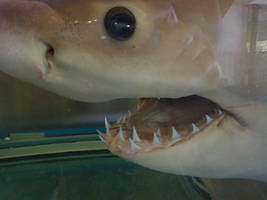 Fishy!!!
