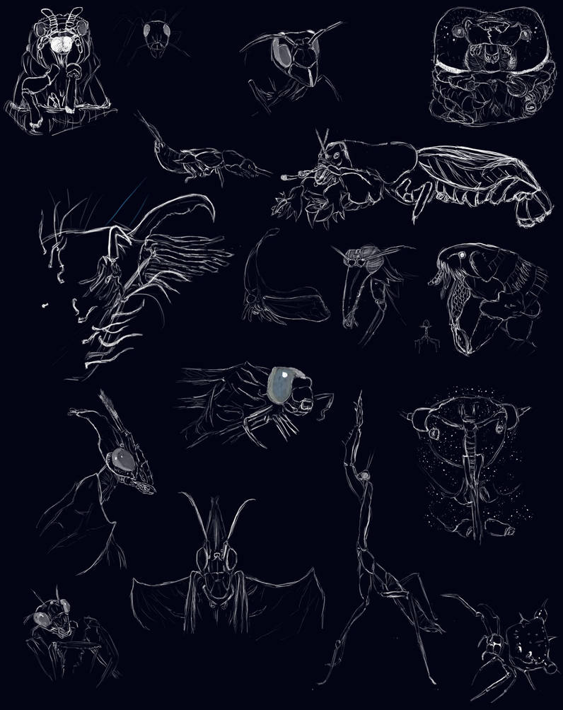 All Insects List Deviantart Insects by Dizstus on DeviantArt