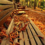 AutuMn...