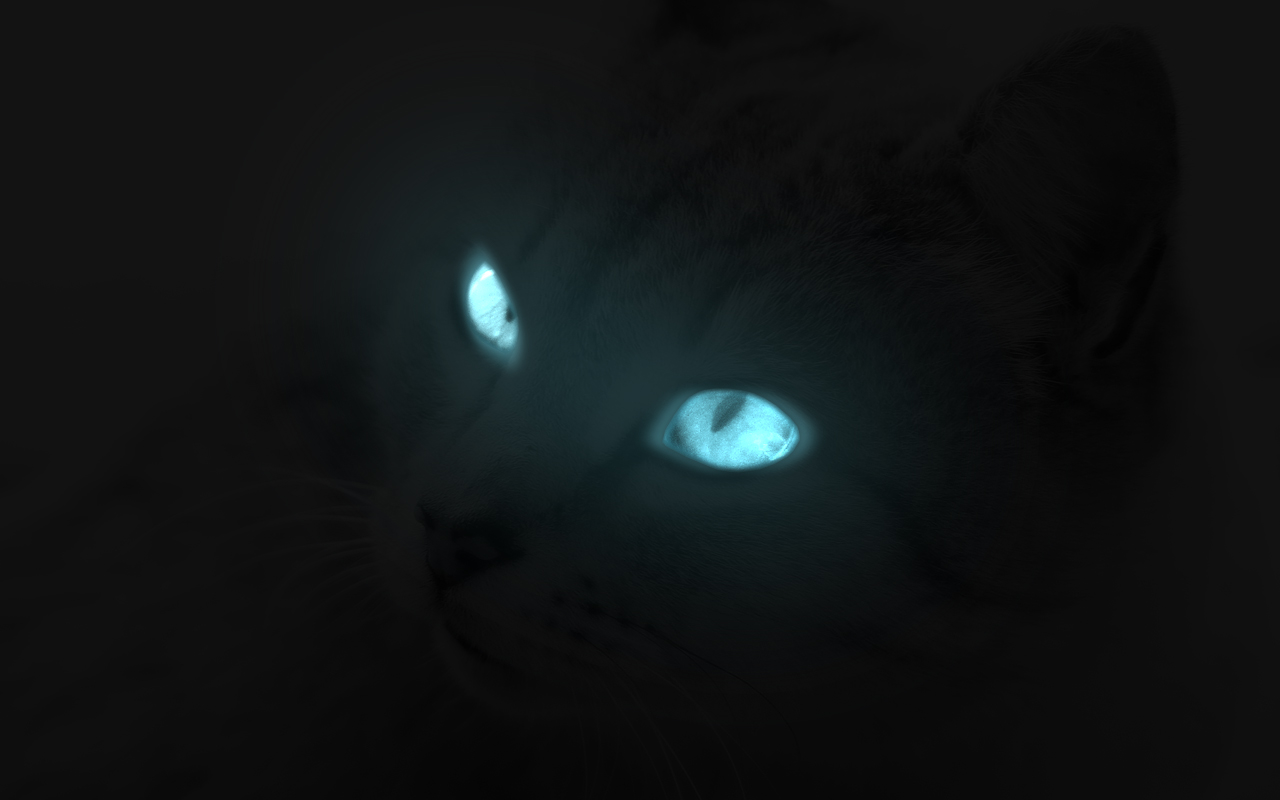 Glowing Cat Eyes By O Chir On Deviantart Glowing Cat Eyes By O Chir On Deviantart