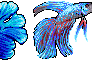 Betta Icons