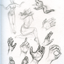 Hands and Gestures study