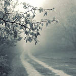 foggy road by leenik