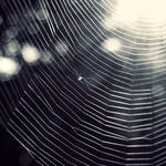 Web by leenik