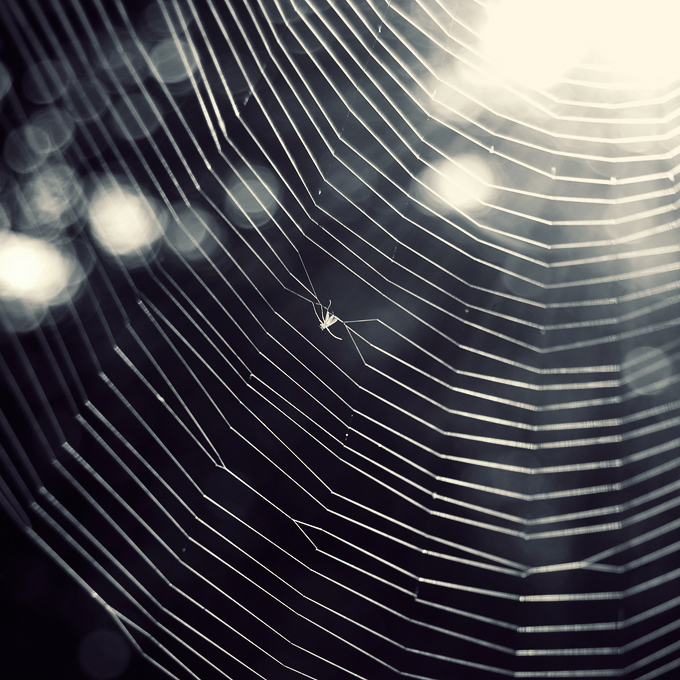 Web